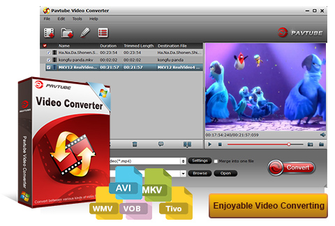 pavtube video converter for mac get win version alternative